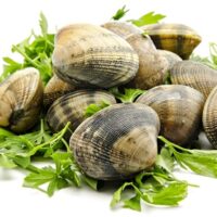 Sacchetti carta vegetale pescheria - immagine 3